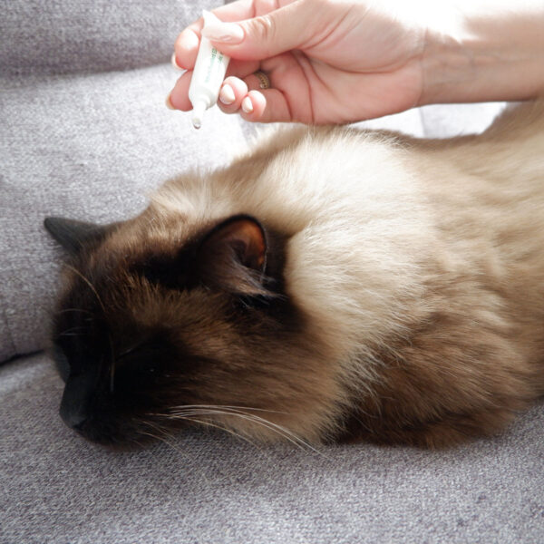 Plant Based Flea & Tick Squeeze-On for Cats - Image 6