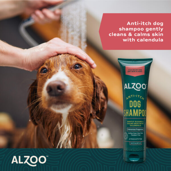 Anti-Itch Dog Shampoo - Image 4