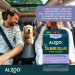 Plant-Based Calming Collar for Dogs - Image 6