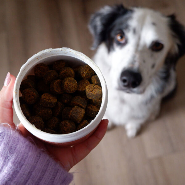 Skin & Coat Chews for Dogs - Image 8