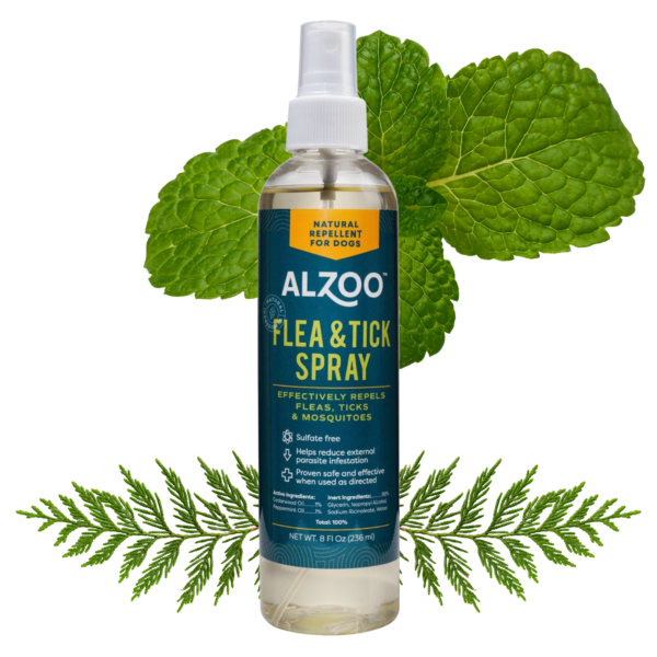Natural Flea and Tick Repellent Spray - Image 2