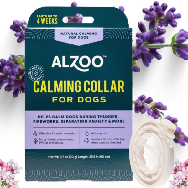 Plant-Based Calming Collar for Dogs - Image 2