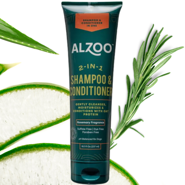 Plant-Based 2-in-1 Shampoo & Conditioner - Image 2