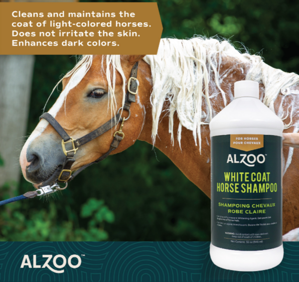 Horse Shampoo for Light Coats
