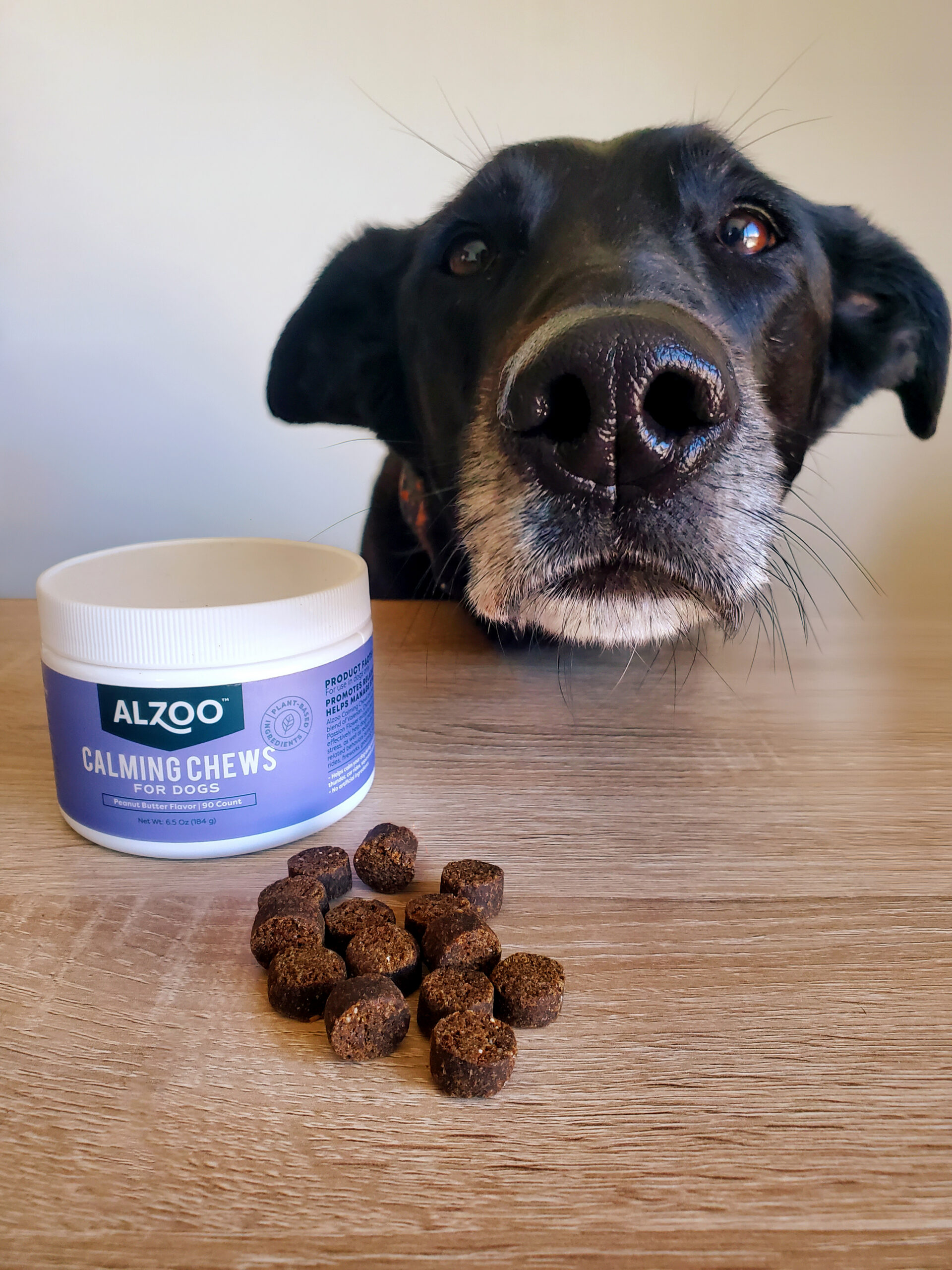 BOGO Dog Chews