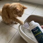 Cat Litter Deodorizer, Fresh Lavender Scent, 26.6 Oz., Pack of 2 - Image 4