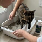 Cat Litter Deodorizer, Fresh Lavender Scent, 26.6 Oz., Pack of 2 - Image 5