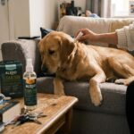 Plant-Based Flea & Tick Squeeze-On for Dogs + Repellent Spray - Image 8