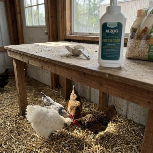 Fresh Coop Deodorizer, Chicken Coop Deodorizer, 26.6 Oz., Pack of 2 - Image 4