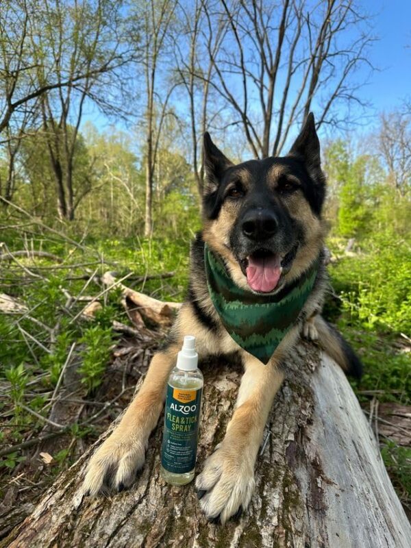 Plant-Based Flea & Tick Squeeze-On for Dogs + Repellent Spray - Image 6