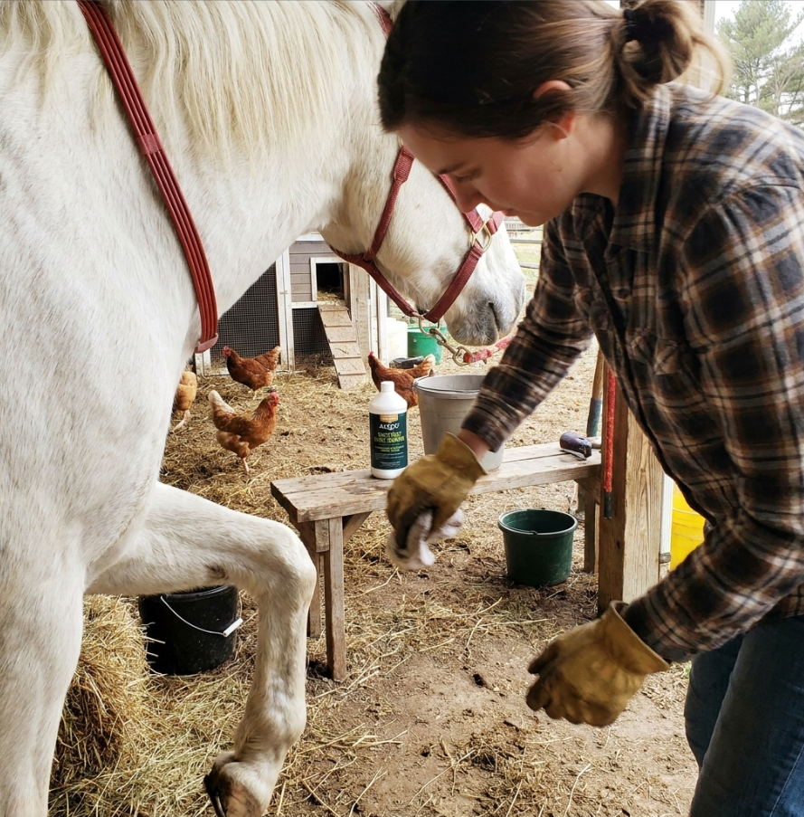 ALZOO pet wellness