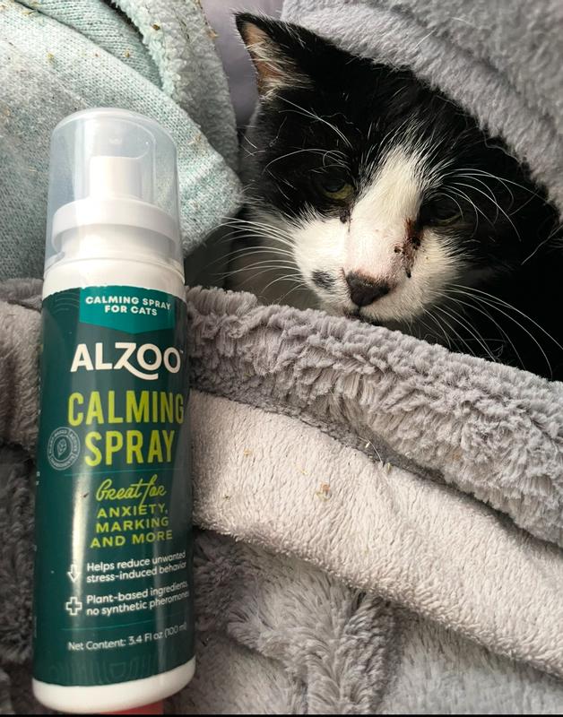 ALZOO cat products featuring catnip