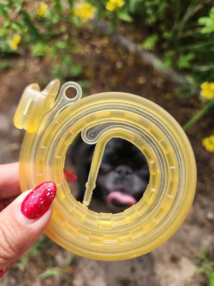 ALZOO collar products