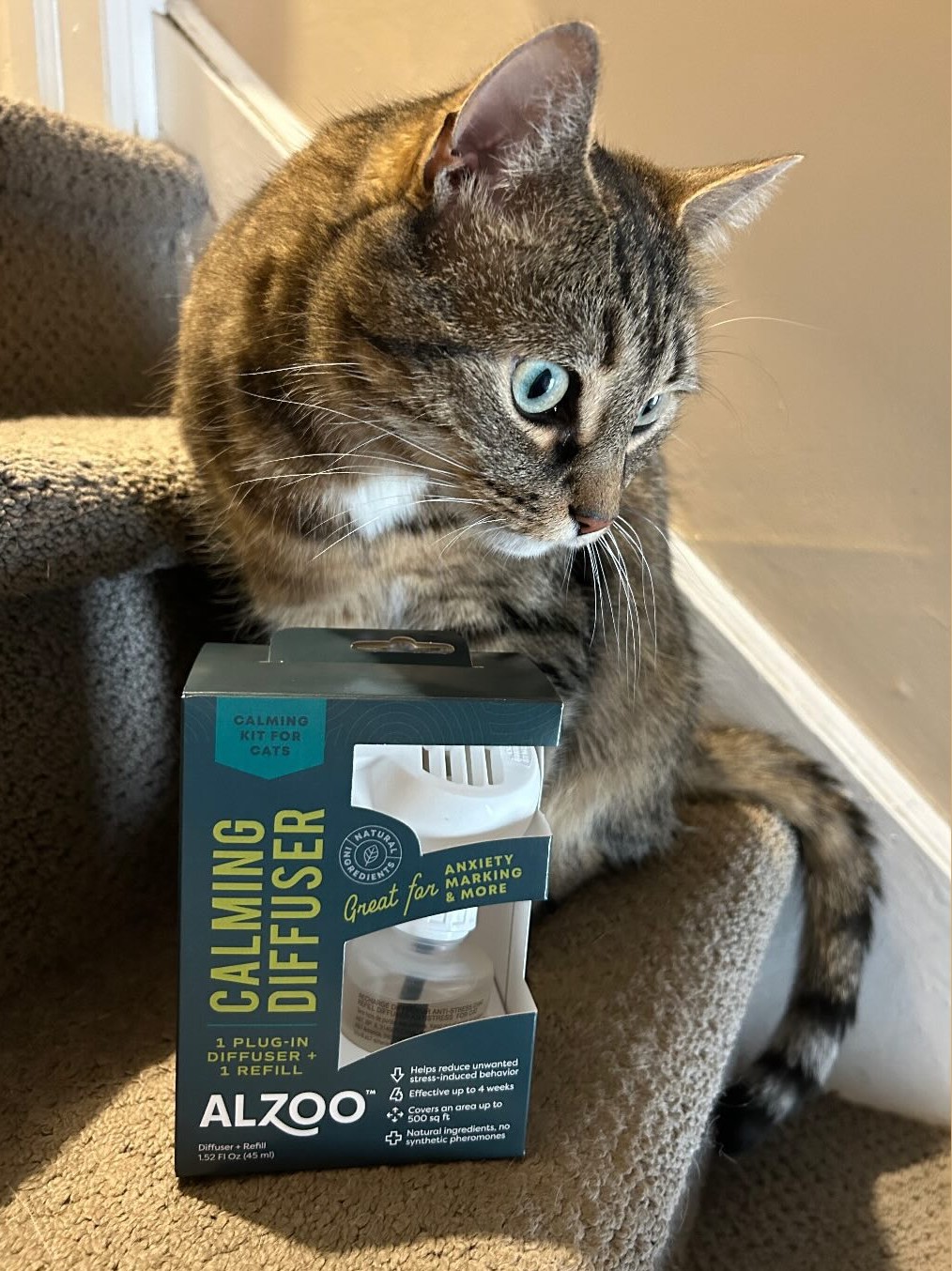 ALZOO cat care products