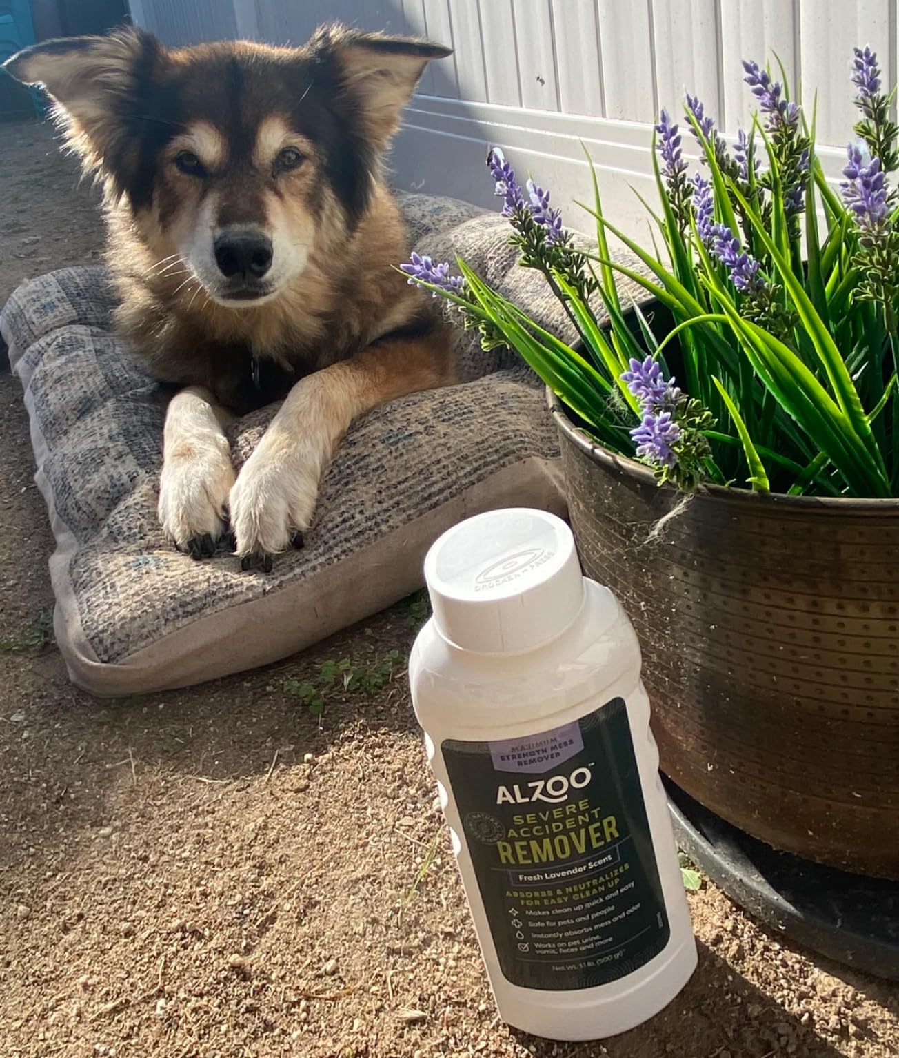 ALZOO powder products
