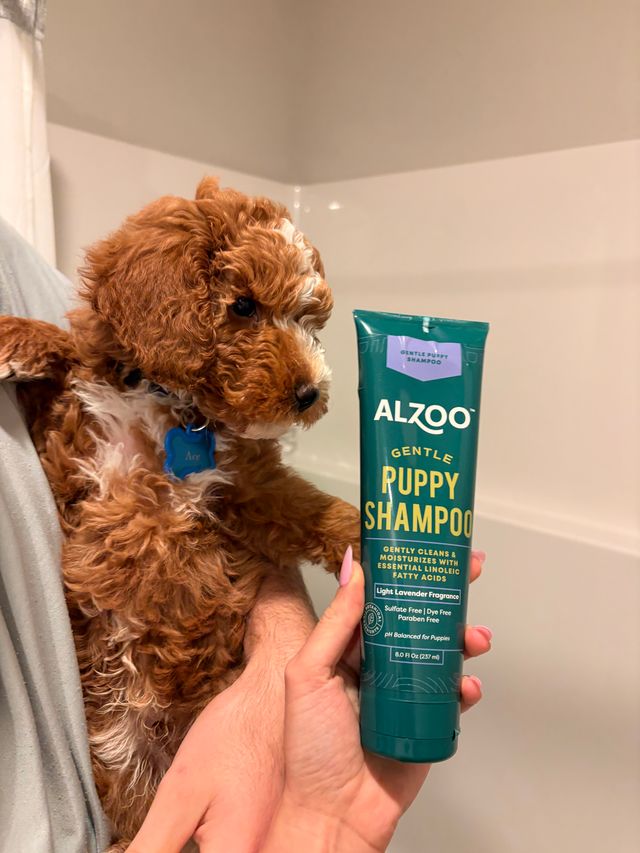 ALZOO puppy care products
