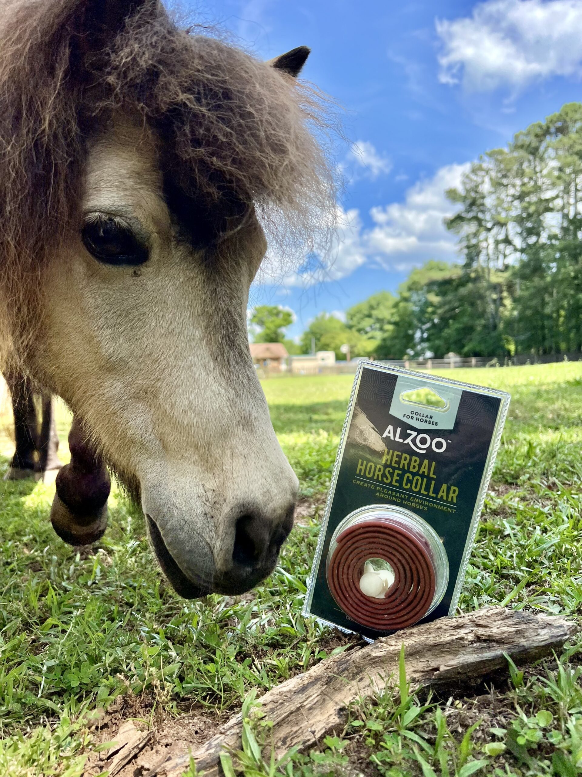 ALZOO equine care products