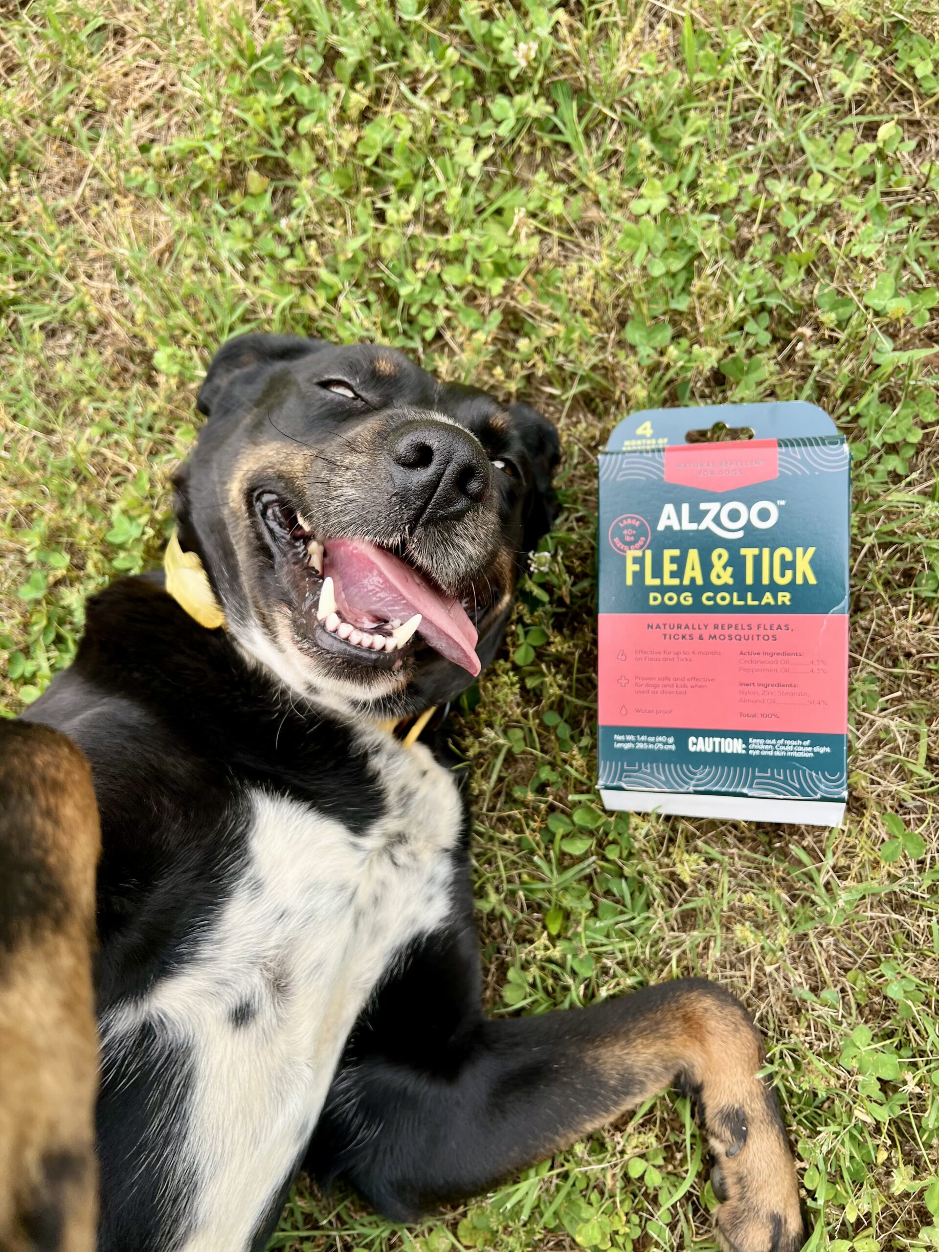 ALZOO award-winning pet care products